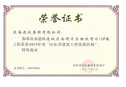 陵城区南街片区棚改项目13#楼工程荣获2019年度“山东省建筑工程优质结构”